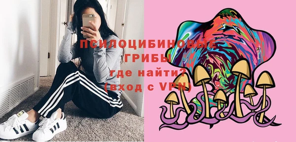 эйфоретик Арсеньев