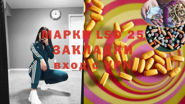 эйфоретик Арсеньев