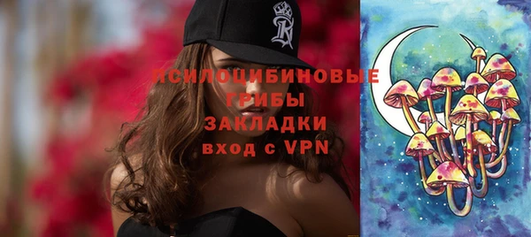 крисы Баксан